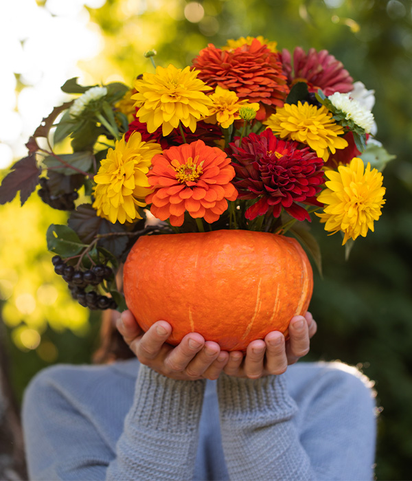 Bouquet in a pumpkin